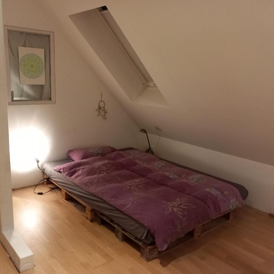 Haus 'Am Emberg' Daire Köln Dış mekan fotoğraf